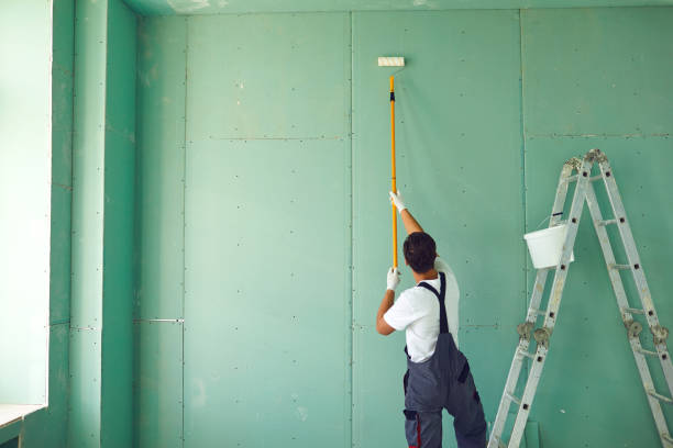 Best Real Estate Mold Inspection  in Willards, MD