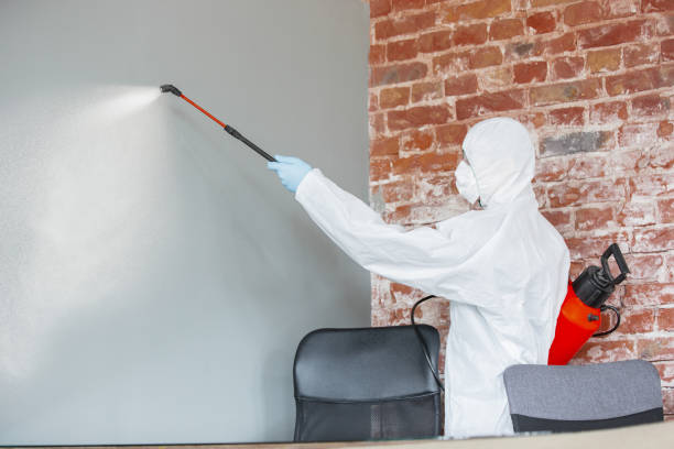 Forensic Mold Investigation in Willards, MD
