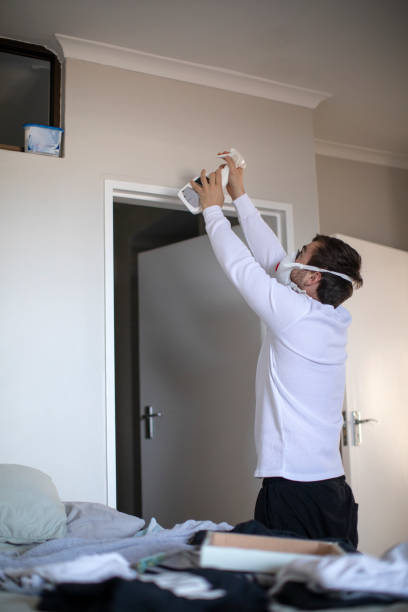 Best Emergency Mold Remediation  in Willards, MD