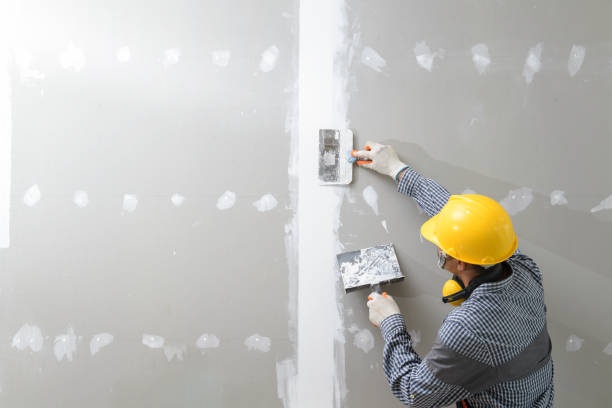 Best Mold Odor Removal Services  in Willards, MD