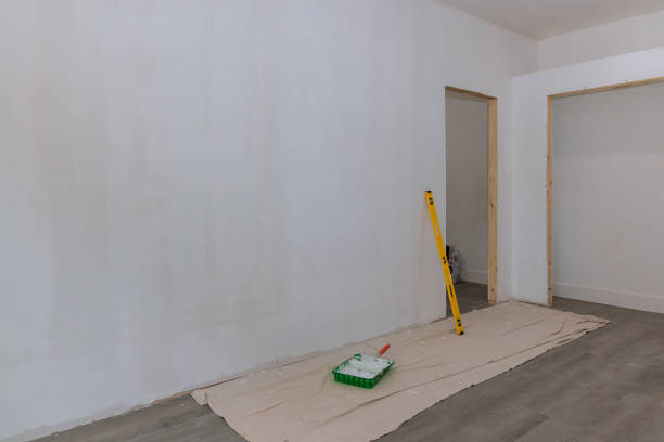 Best Asbestos and Lead Testing During Mold Inspection  in Willards, MD