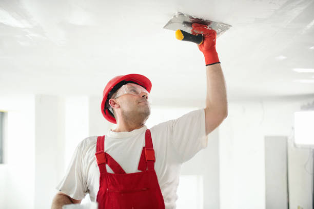 Best Mold-Related Health Consultation  in Willards, MD