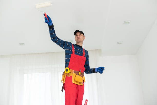 Best Attic Mold Removal  in Willards, MD