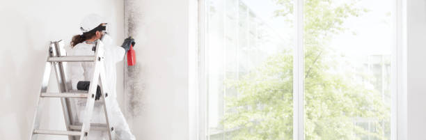 Best Dehumidification Services  in Willards, MD