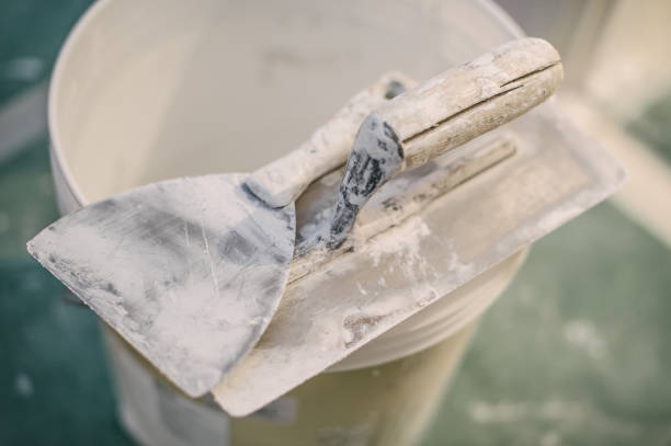 Best Crawl Space Mold Remediation  in Willards, MD