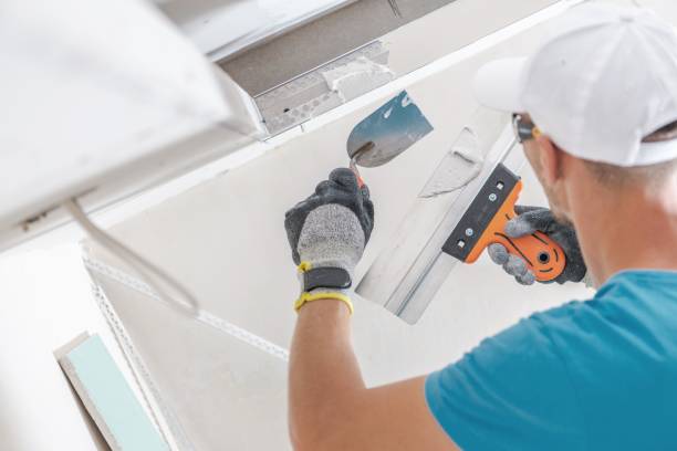Best Mold Remediation for Healthcare Facilities  in Willards, MD